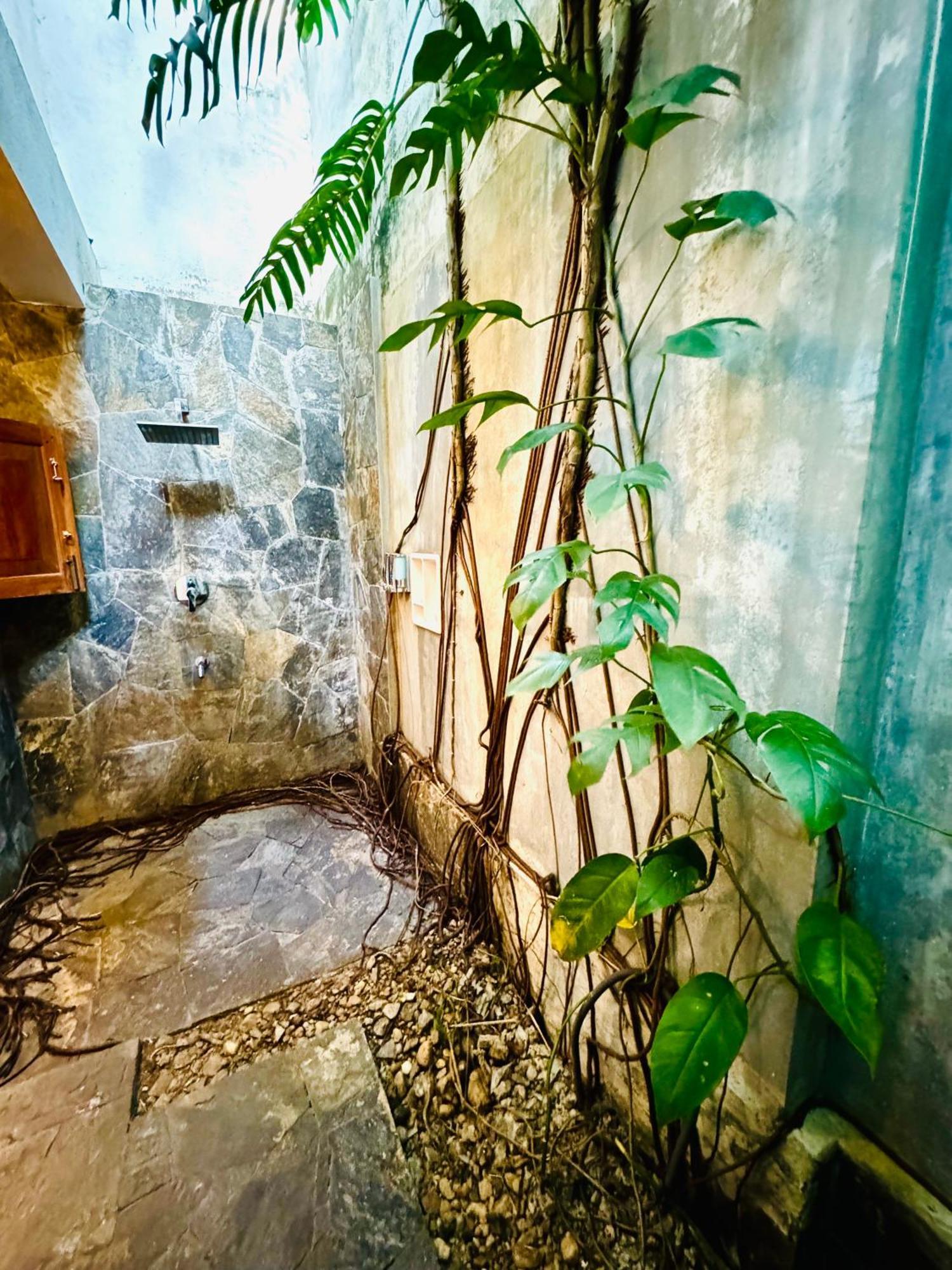 Anama By Queens Mount タンガラ エクステリア 写真
